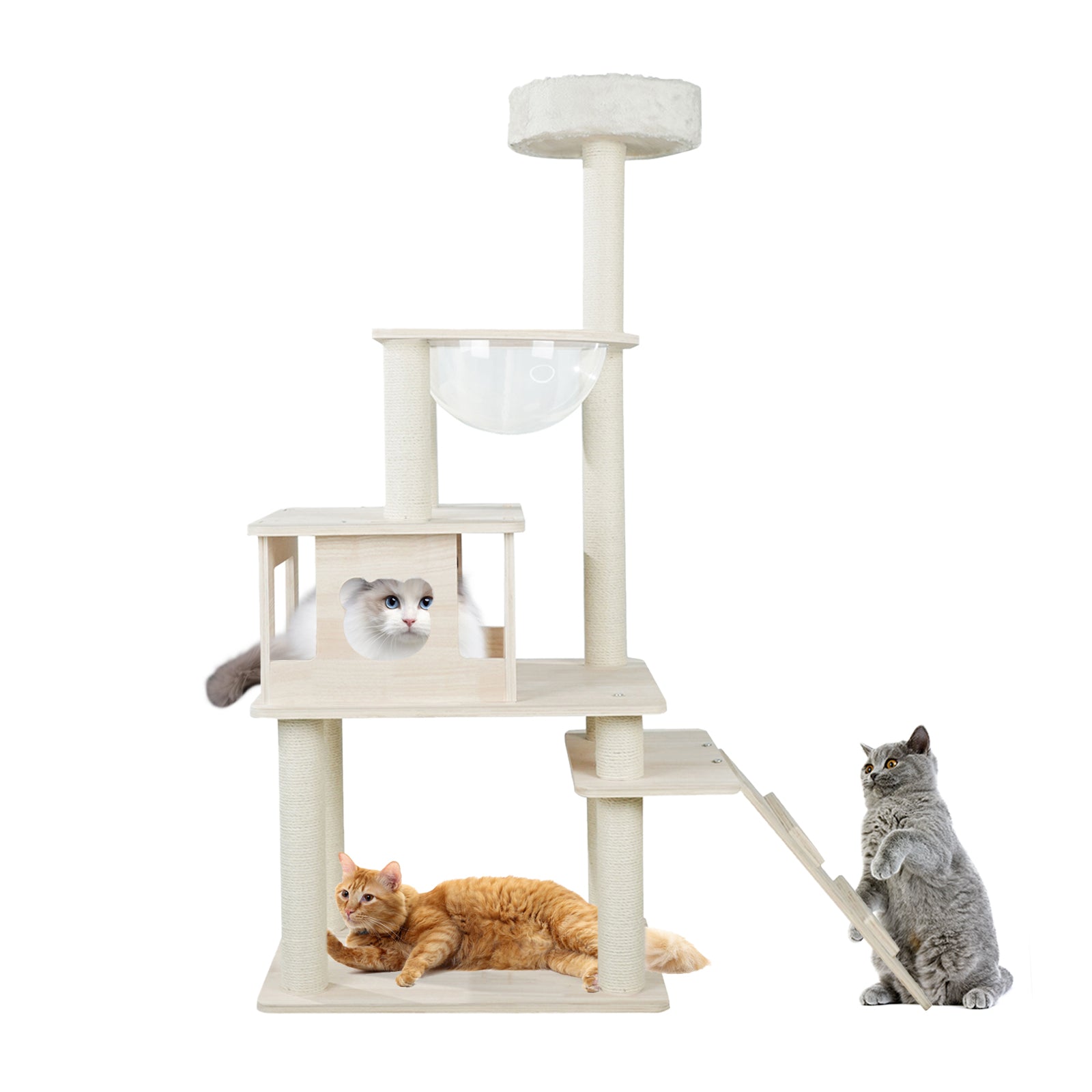 YUCHONG キャットタワー 木製 キャット 猫タワー無垢材 透明宇宙船 四階建て大型 据え置き型 展望台 猫部屋と爪とぎ麻紐と階段付き お手入れ簡単 子猫とシニアも楽々 多頭飼いに適用 疲労解消 組立簡単 安定性 日本語説明書付きペット用品 高さ134cm
