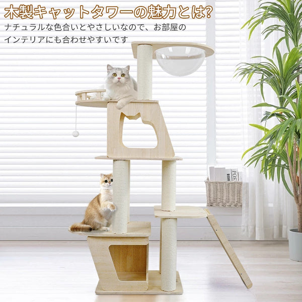 yc-195-1_grande.webp?v=1700560785