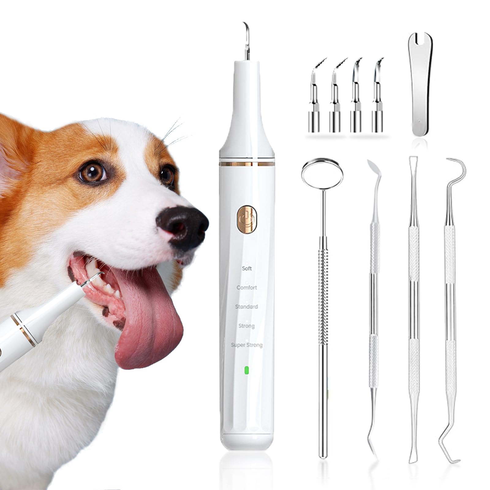 ペット口腔洗浄機