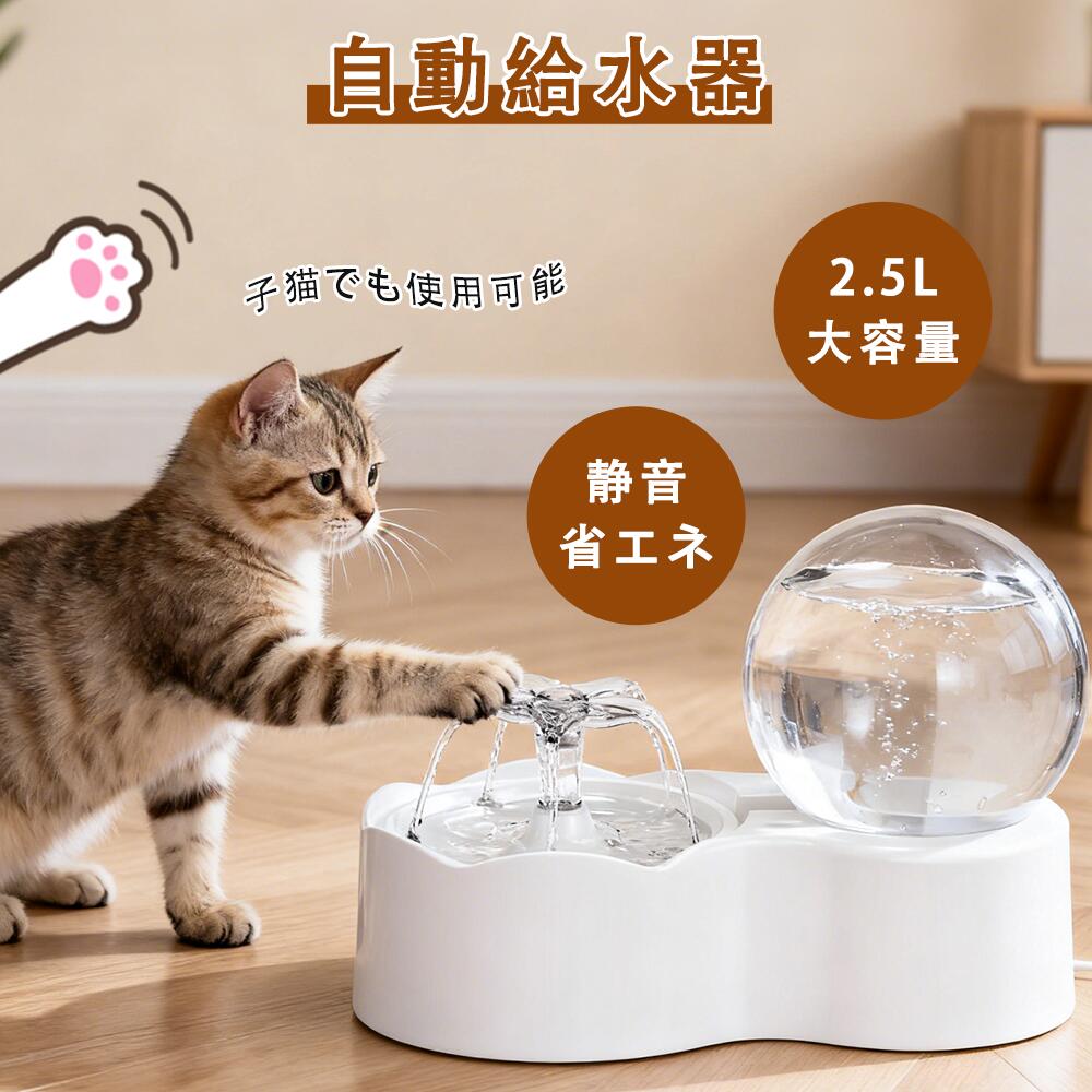 猫 給水器