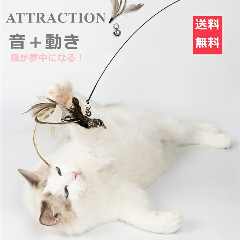 猫おもちゃ 猫じゃらし