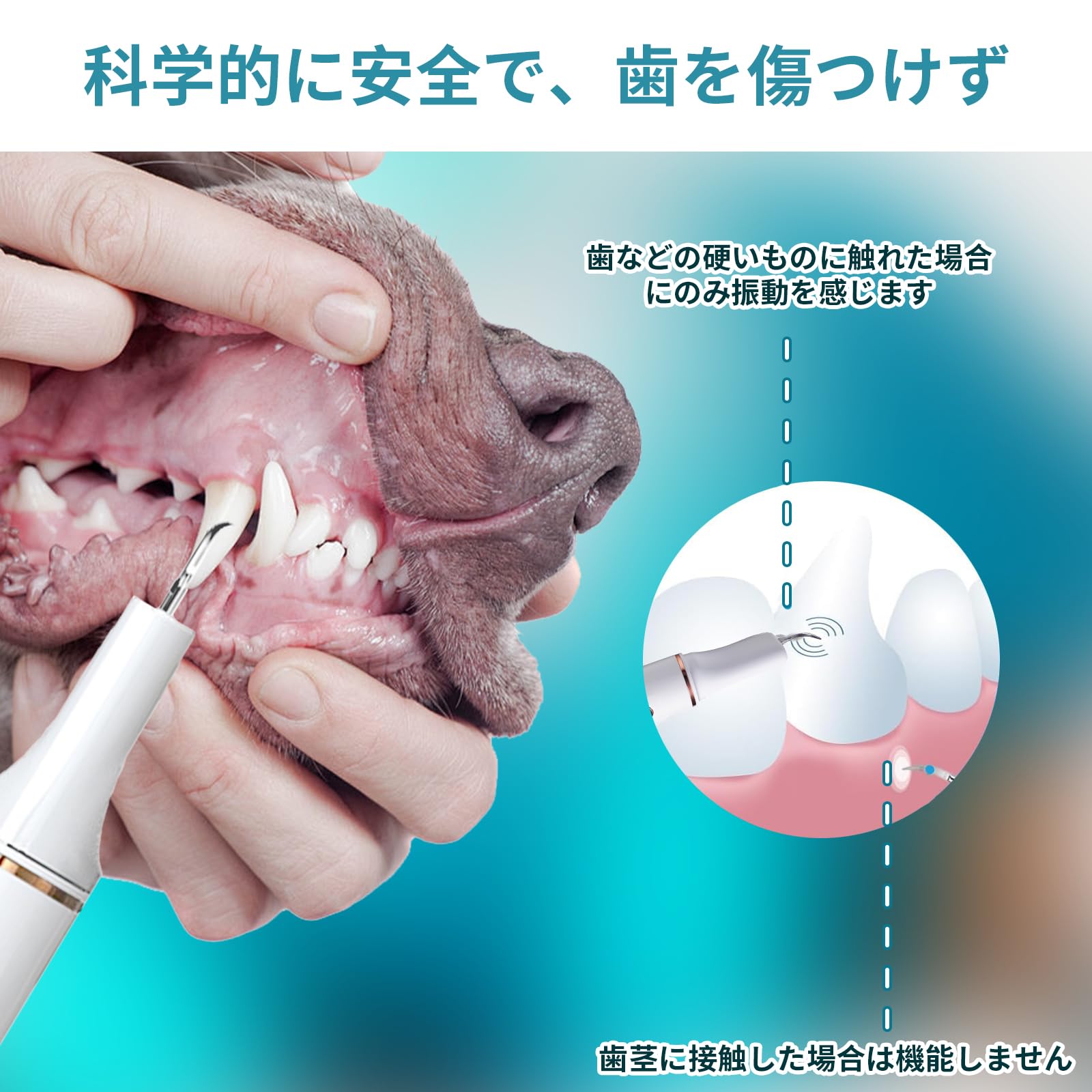ペット口腔洗浄機