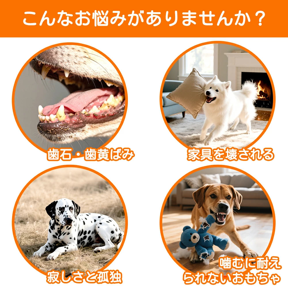 犬用ボトル