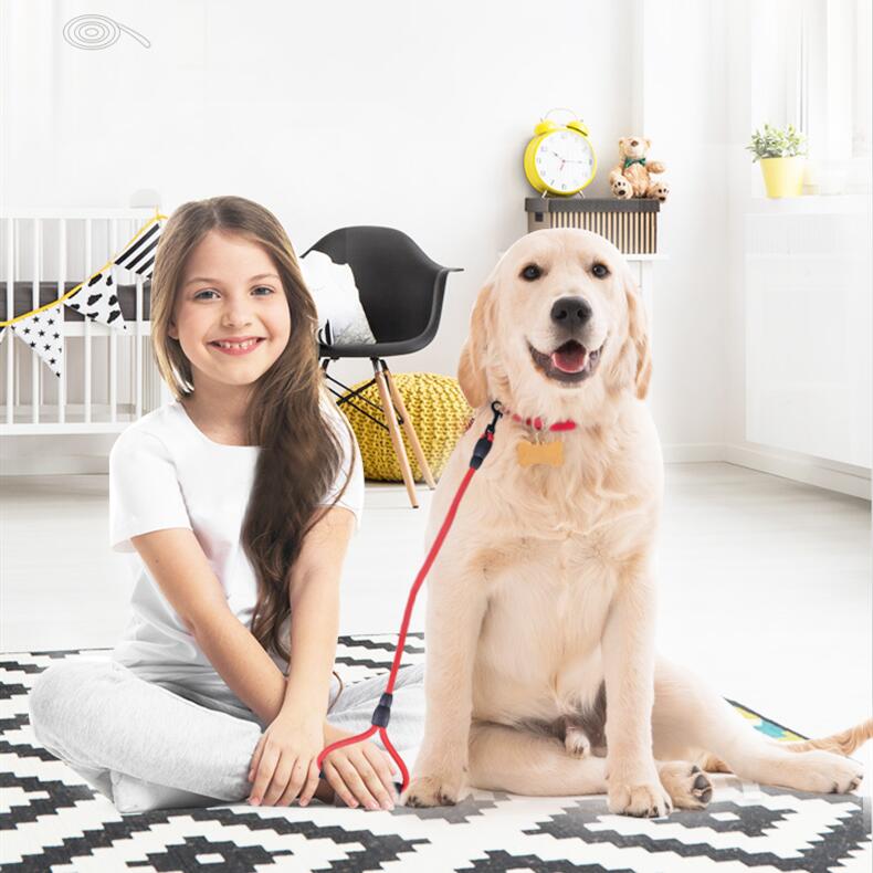 犬用ハーネス