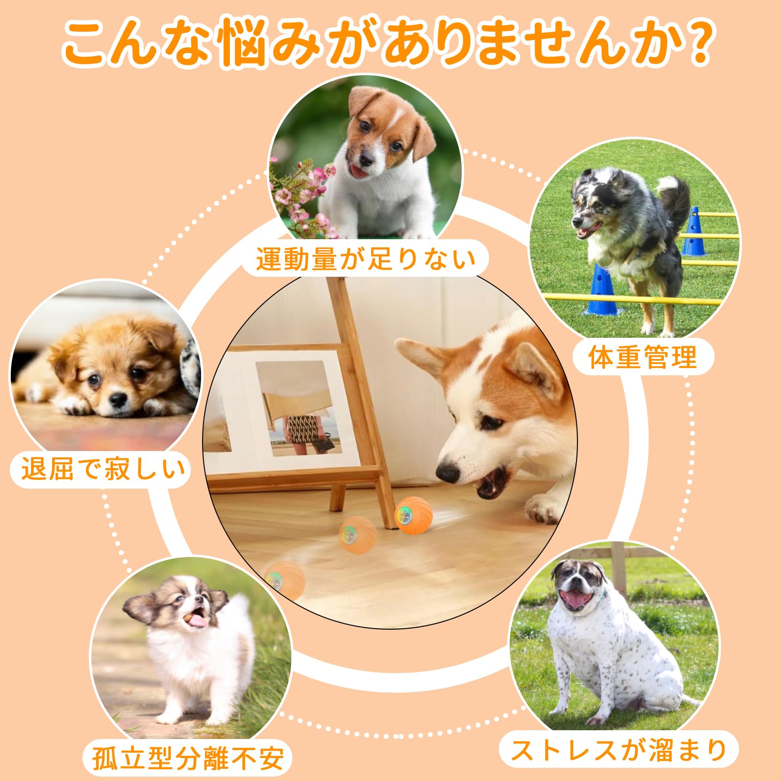 犬ボール 犬おもちゃ