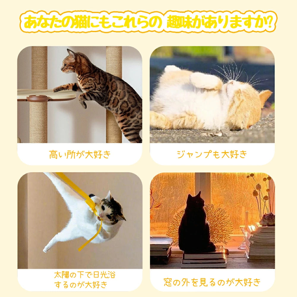 猫用ハンモック