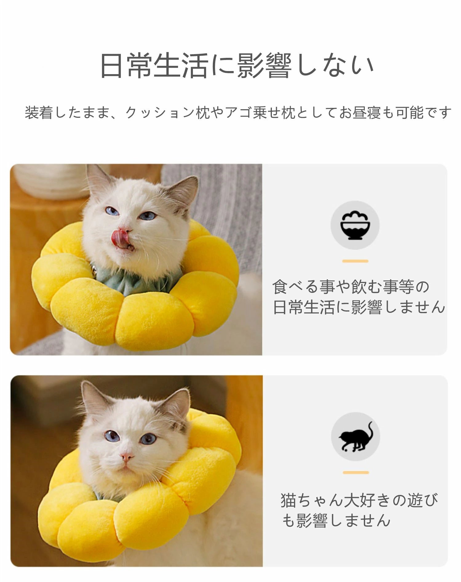 エリザベスカラー 猫 犬