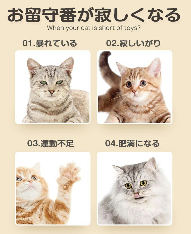 猫 おもちゃ 一人遊び 電動