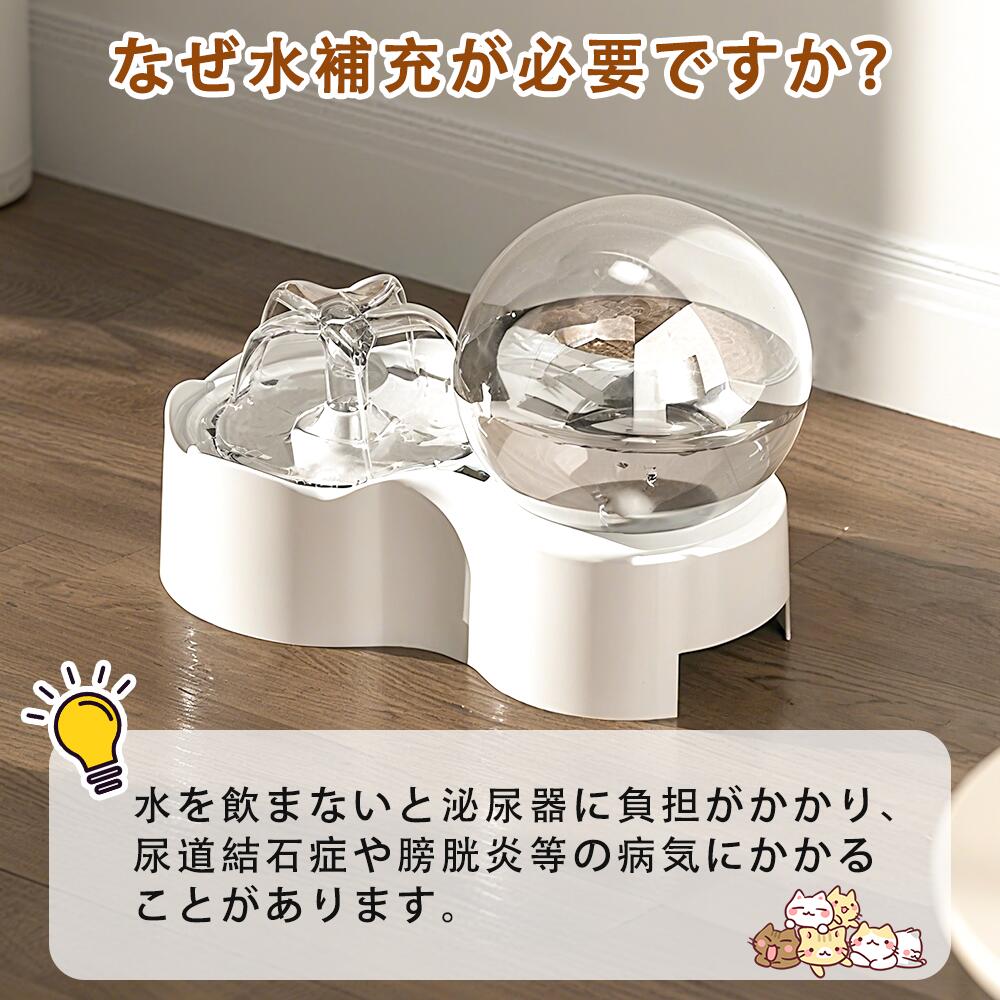 猫 給水器