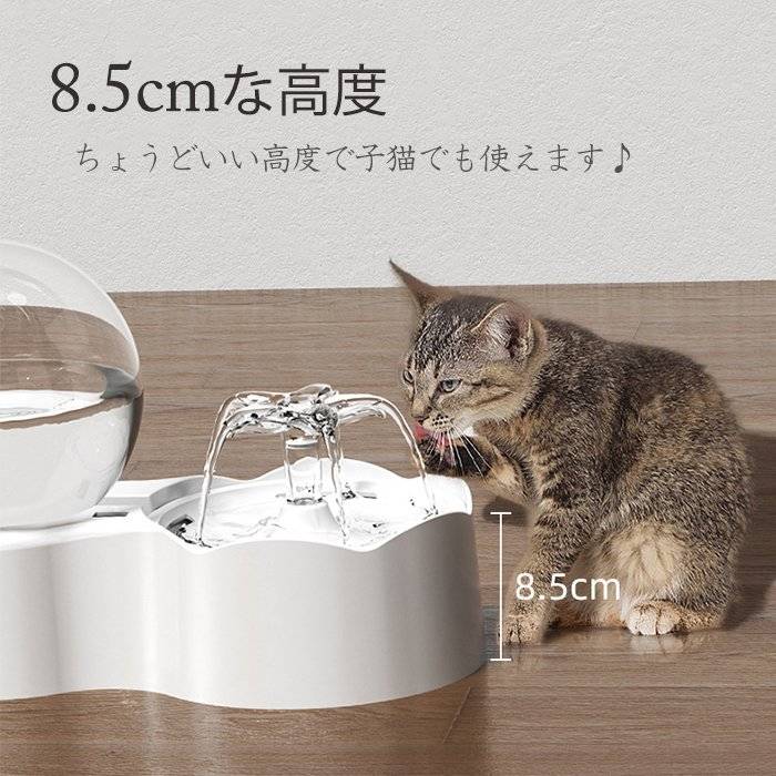 給水器 猫