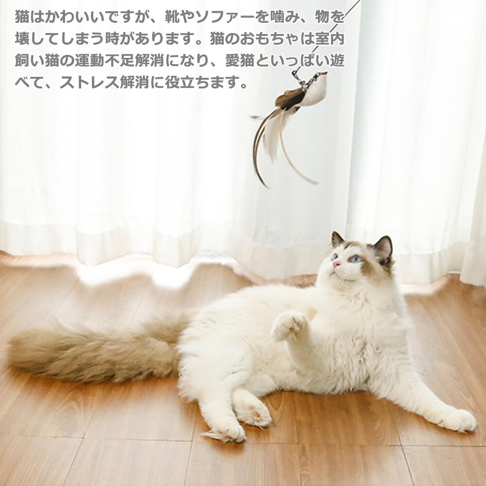 猫おもちゃ 猫じゃらし