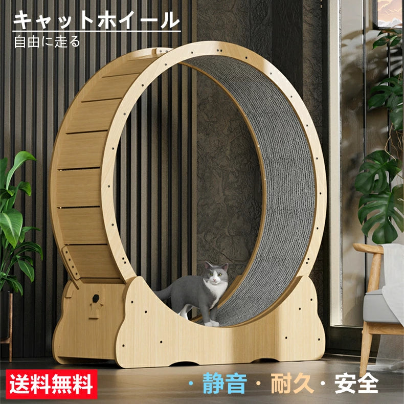 猫 キャットホイール 組立簡単