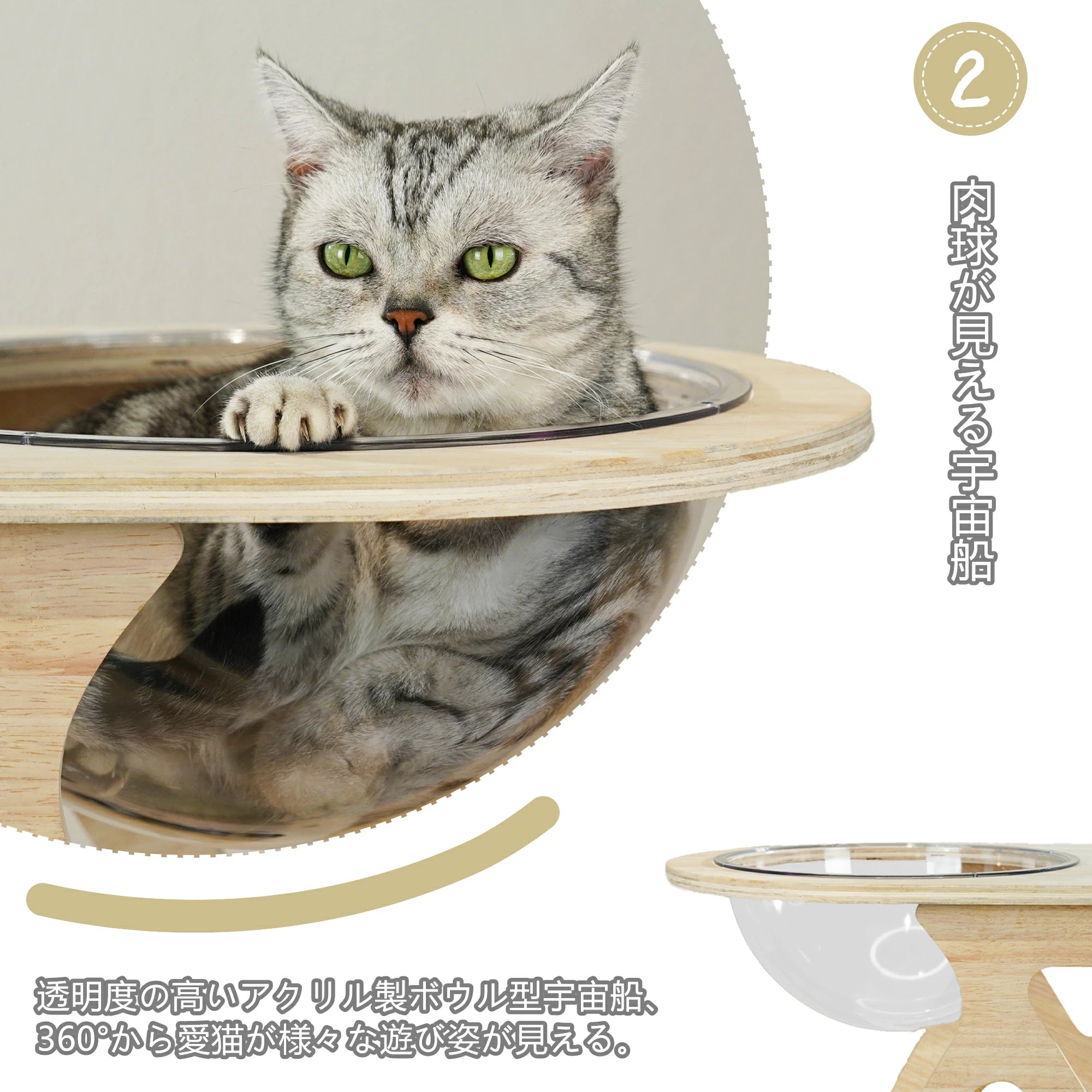 猫タワー 木製キャットタワー 据え置き