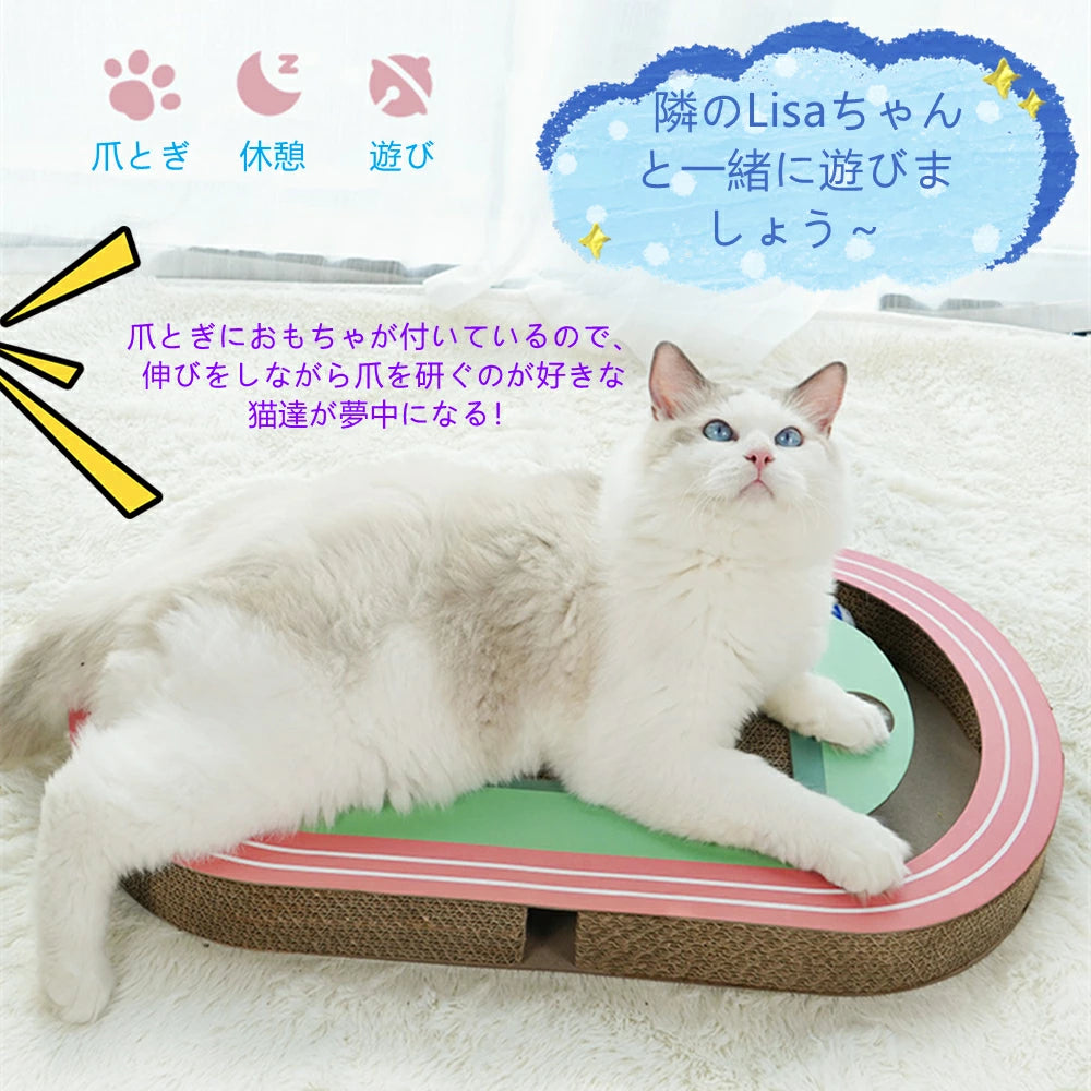 猫爪とぎ 人気 段ボール