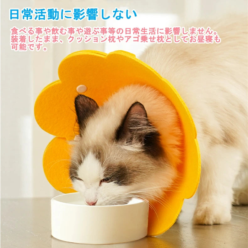 猫 犬 Sサイズ エリザベスカラー