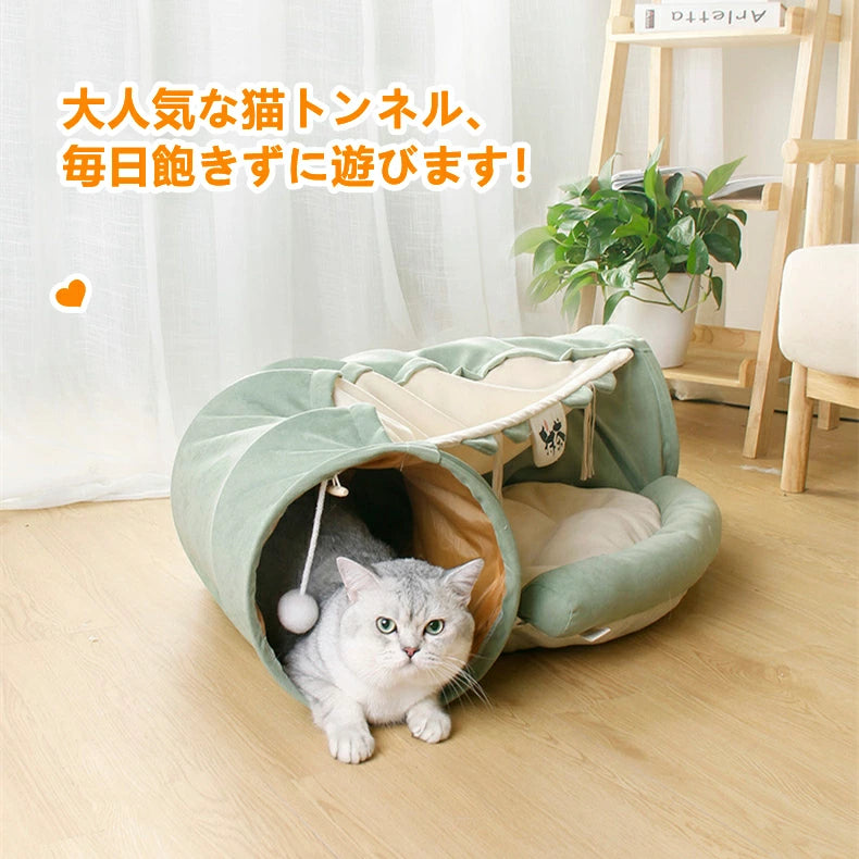 ねこトンネル キャットトンネル