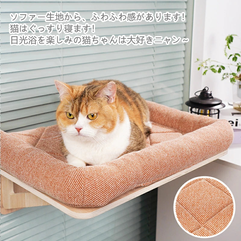 ペット用 猫 吸盤型 猫用