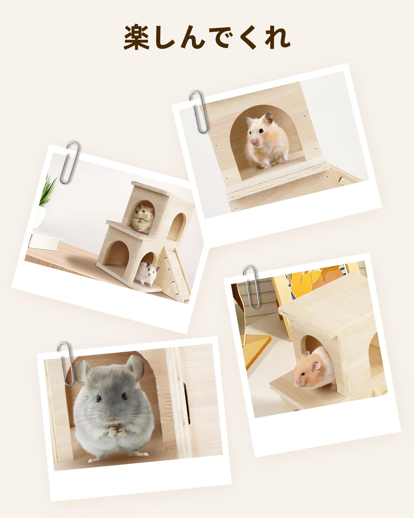 チンチラ ハウス ペット