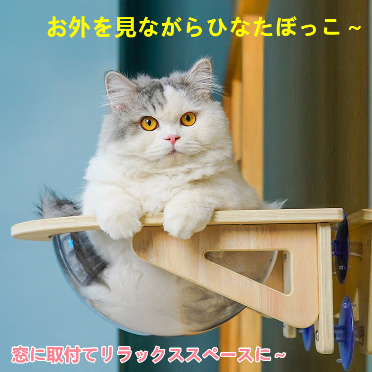 ペット用 猫 吸盤型 猫用 宇宙船