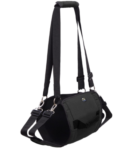 Pet Walking Belt (Sky Blue)